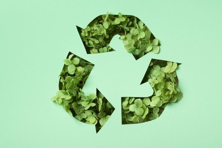 Czym jest i jak działa gospodarka obiegu zamkniętego?